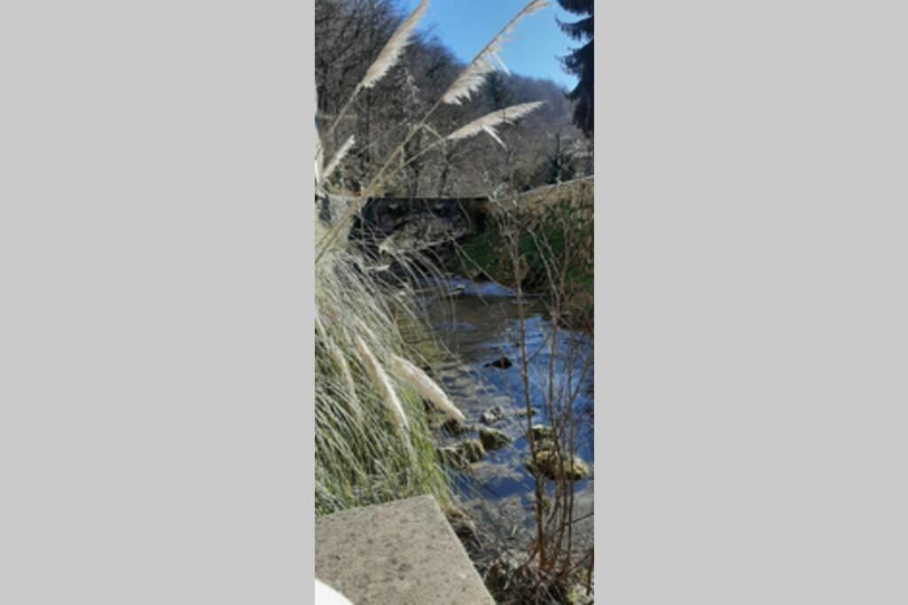 Foix Διαμέρισμα Εξωτερικό φωτογραφία